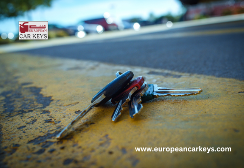 Read more about the article What To Do When You Lose Your Car Keys?